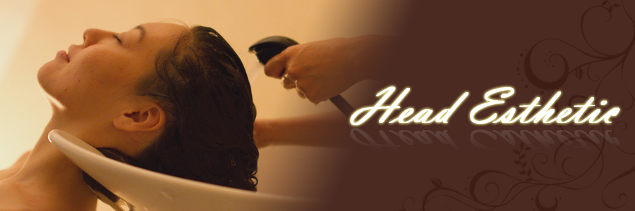 �w�b�h�G�X�e