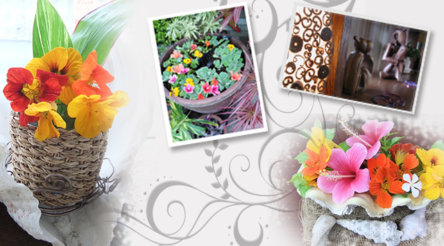 �V���b�v�C���[�W